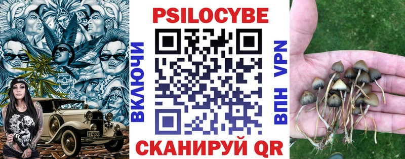 Псилоцибиновые грибы ЛСД  ссылка на мегу онион  Райчихинск 